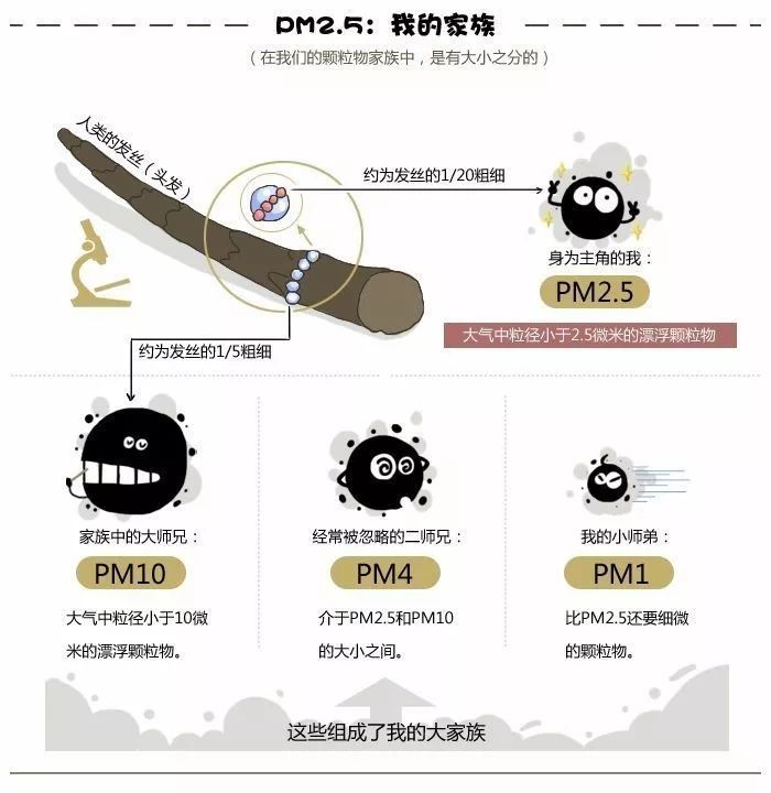 小型空气质量自动监测系统